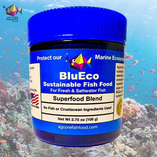 Introducing BluEco Sustainable Fish Food: A Step Forward for Marine Ecosystem Protection