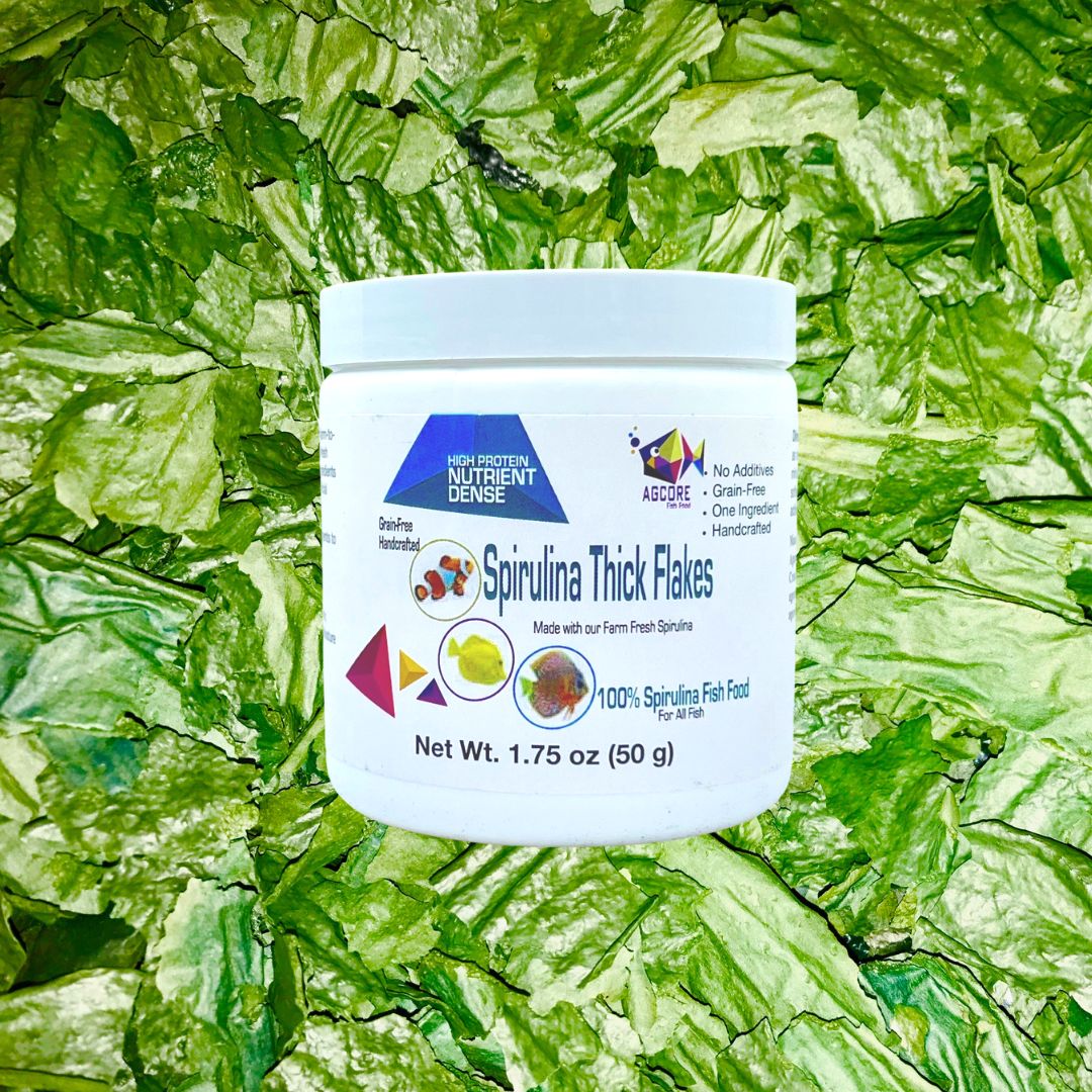 100% Spirulina Thick Flake