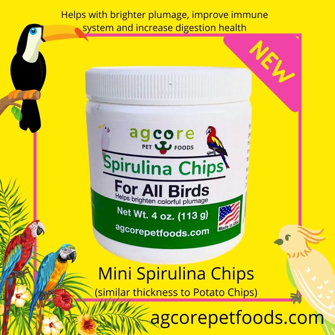 Spirulina Chips for Birds