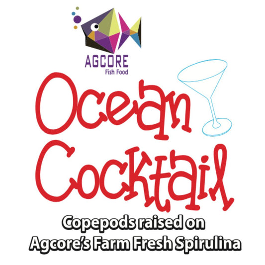 Ocean Cocktail Live Copepods