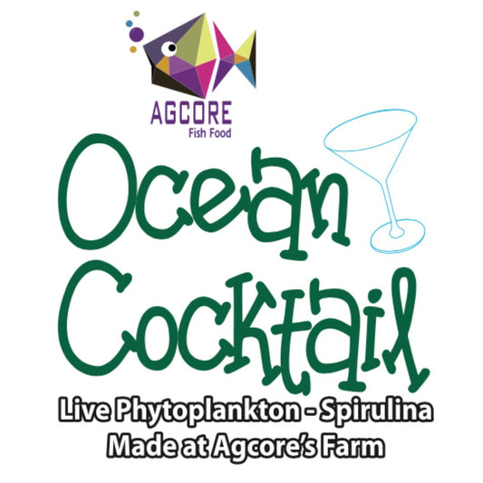 Ocean Cocktail Live Phytoplankton